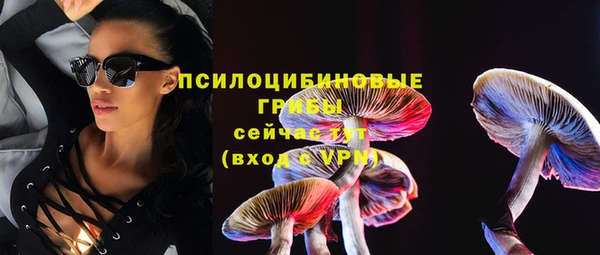 a pvp Вязьма