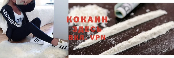 дмт Горняк