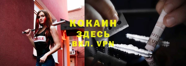 стаф Горно-Алтайск